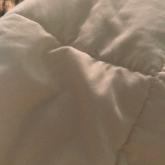 Meet your Posher, Grace - Picture 1 of 1